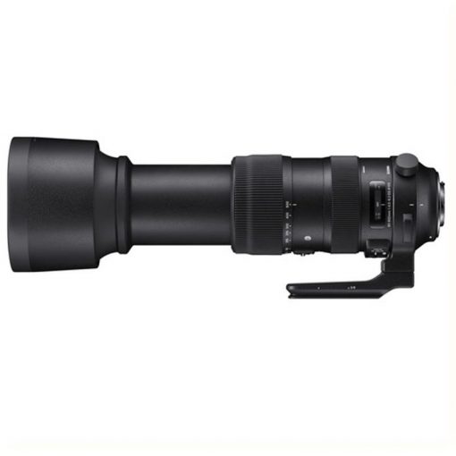 Ống Kính Sigma 60-600mm f/4.5-6.3 DG OS HSM Sports cho Nikon